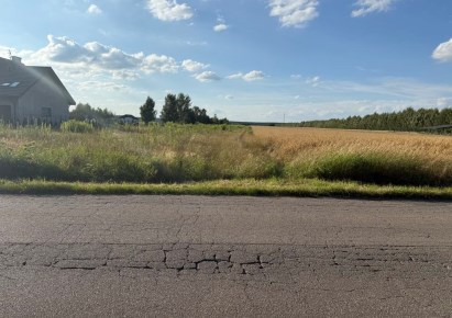 działka na sprzedaż - Brańszczyk, Turzyn